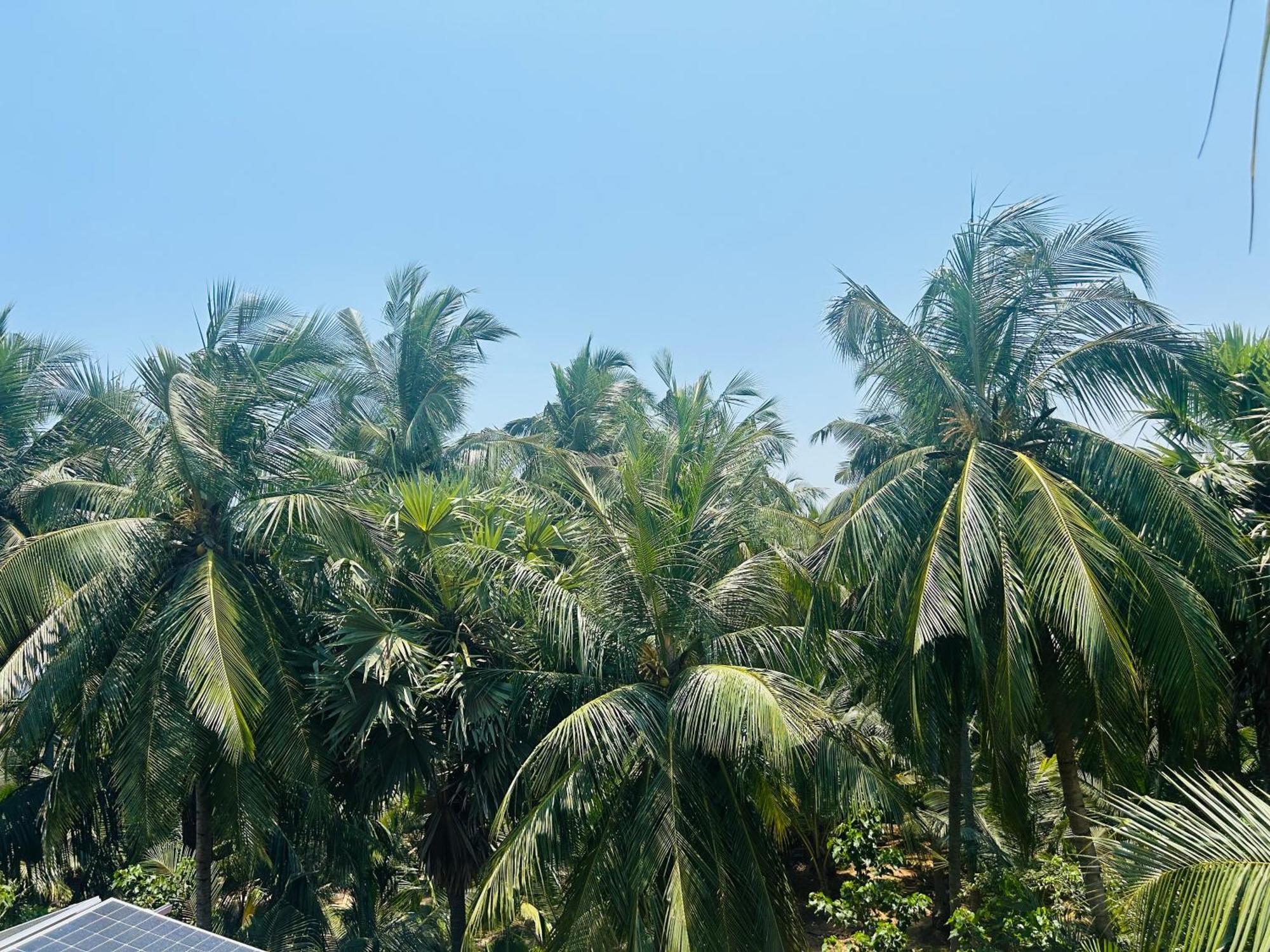 Pearl Bungalow Trincomalee Kültér fotó